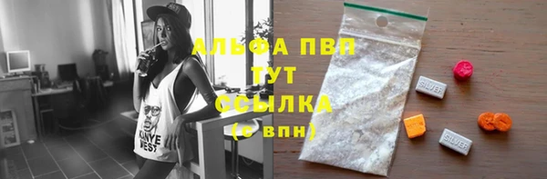 спиды Ростов