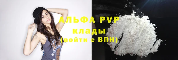 стаф Арсеньев