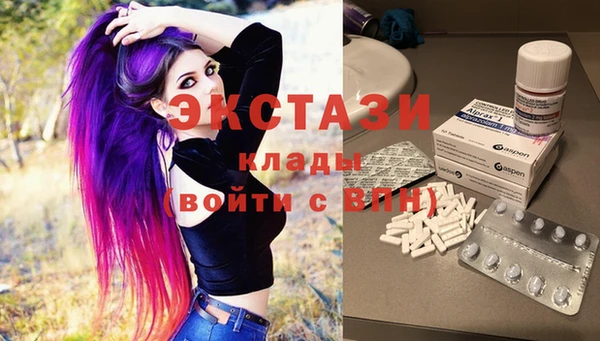 стаф Арсеньев