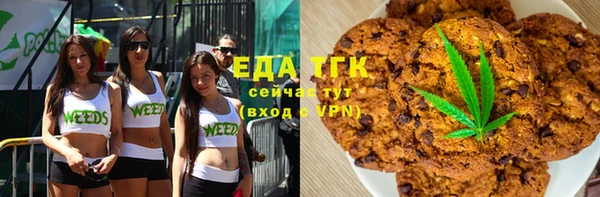 стаф Арсеньев