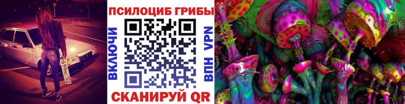 ОМГ ОМГ сайт  Кирово-Чепецк  Галлюциногенные грибы Psilocybine cubensis 