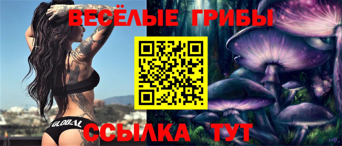 Галлюциногенные грибы GOLDEN TEACHER Кирово-Чепецк