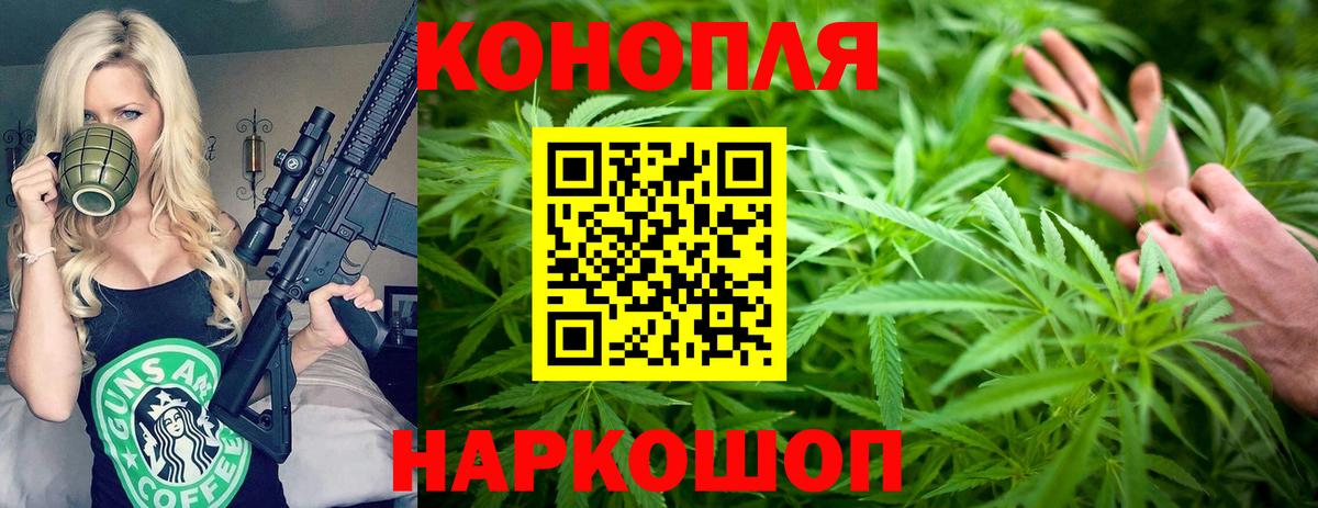 Шишки марихуана план  Вход с VPN  Бошки Шишки Ganja  Кирово-Чепецк 
